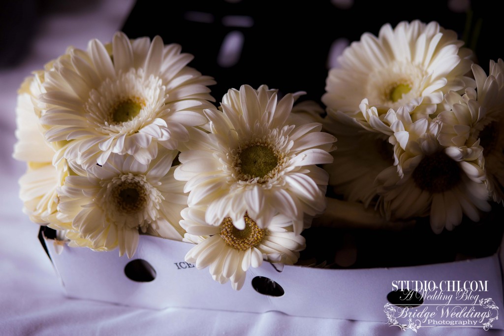 IMG_8682hllmrkd white wedding flowers