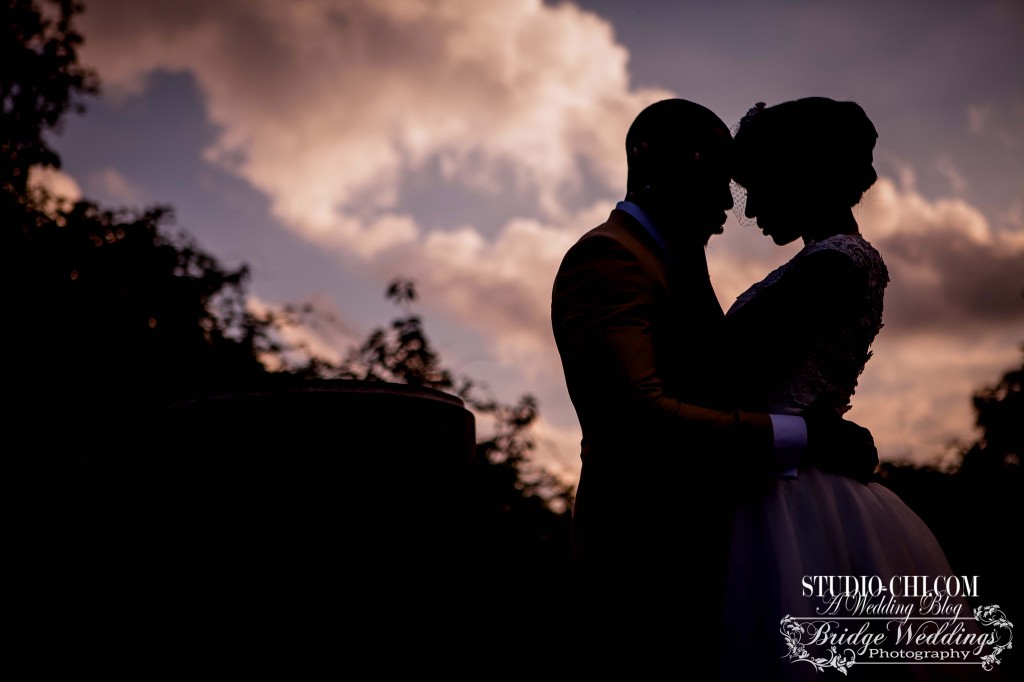 bride and groom silhouette hllmrkd