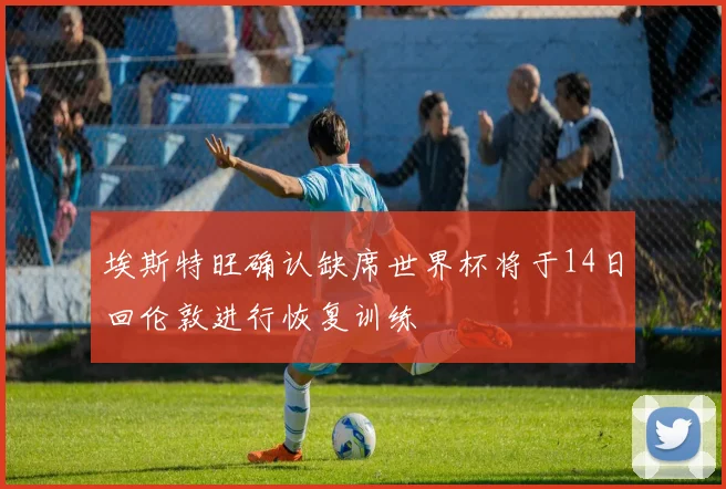 埃斯特旺确认缺席世界杯将于14日回伦敦进行恢复训练